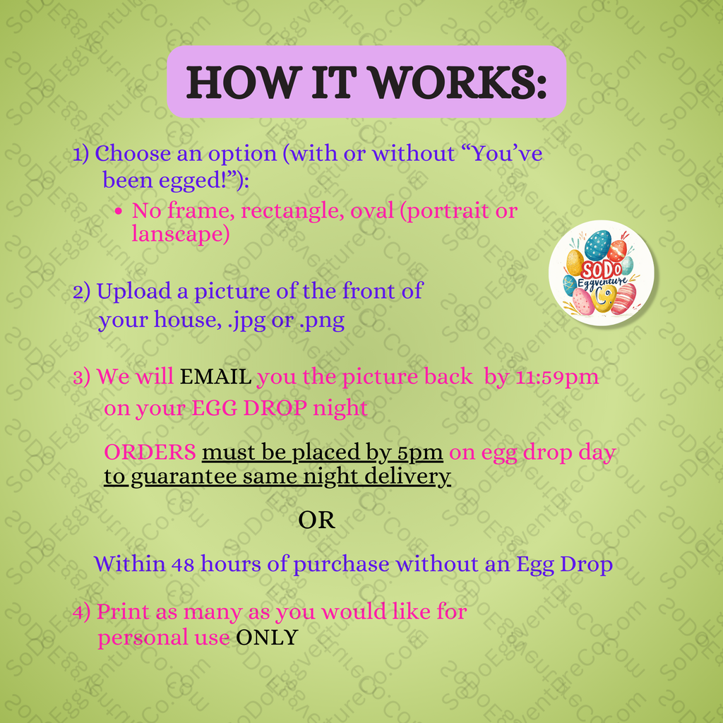 Bunny Photo Op – A Hoppin’ Fun Easter Surprise for Your Home!