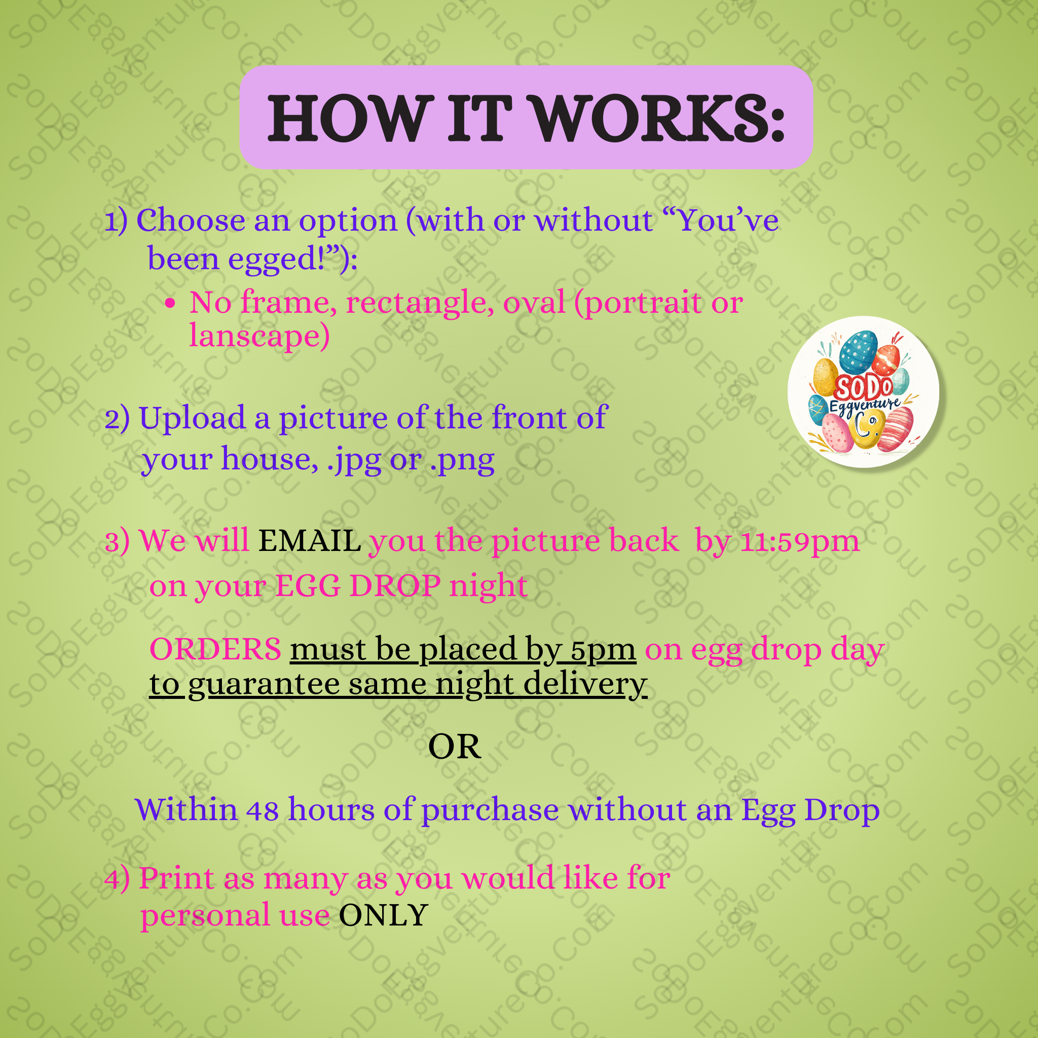 Bunny Photo Op – A Hoppin’ Fun Easter Surprise for Your Home!