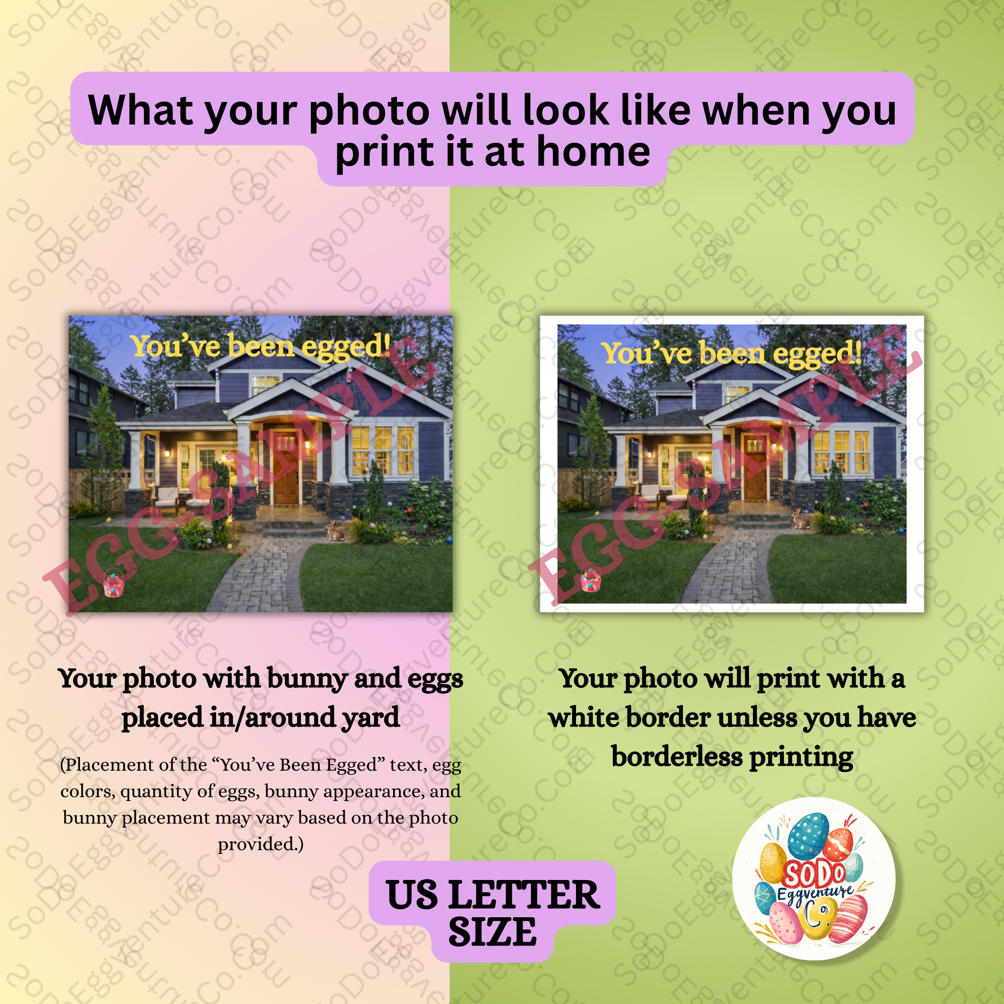 Bunny Photo Op – A Hoppin’ Fun Easter Surprise for Your Home!