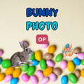 Bunny Photo Op – A Hoppin’ Fun Easter Surprise for Your Home!